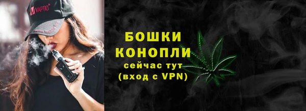 молекула духа Липки