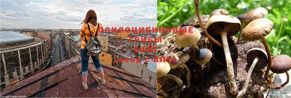 молекула духа Липки